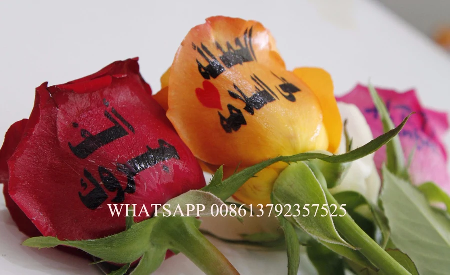  2010 latest model Real Nail Printer with computer touch secreen inside flower printer nail art mach
