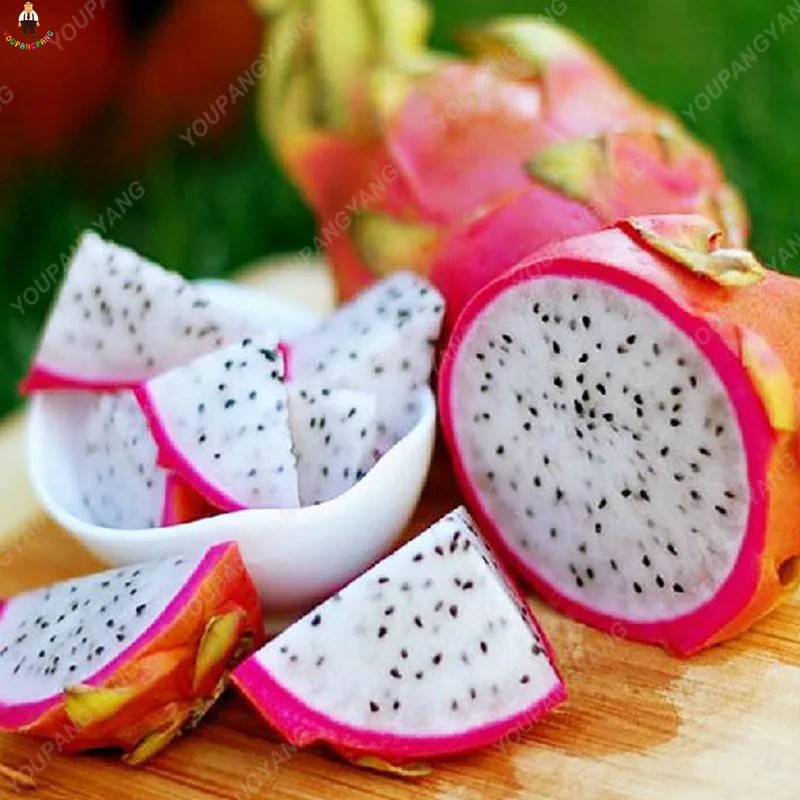 

New Arrival 50pcs Rare Red Heart Pitaya Planting Bonsai Delicious Fruit Tree Dragon Fruits plants Home Graden Winter Decoration