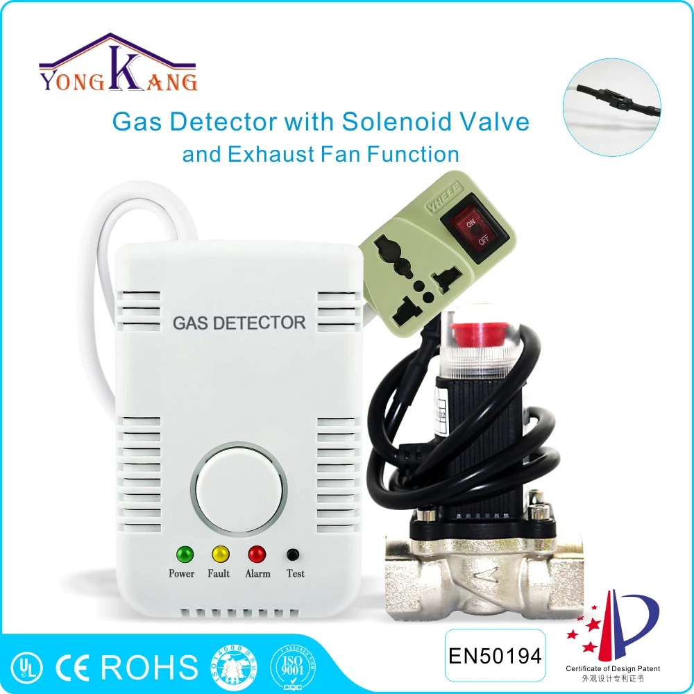 Yongkang Combustible Gas Leak Detector Alarm With DN20 Solenoid Valve