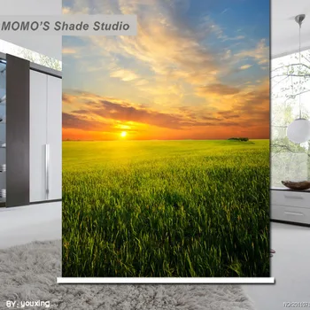 

MOMO Golden Window Curtains Roller Shades Blinds Thermal Insulated Blackout Fabric Custom Size, Alice 3 5