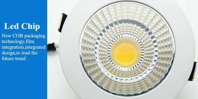 COB Downlight  (27)