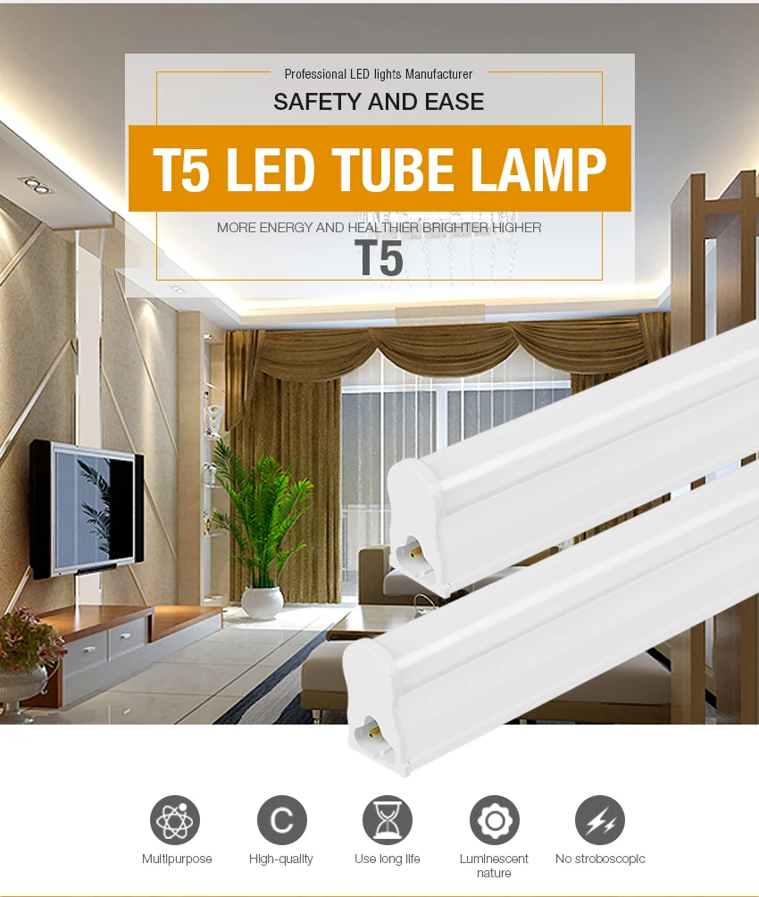 T5(1)_01