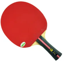 RITC 729 1-star(1 star, 1 star) pips-in ракетка для настольного тенниса/пинг-понга+ чехол Летучая мышь с длинной ручкой FL