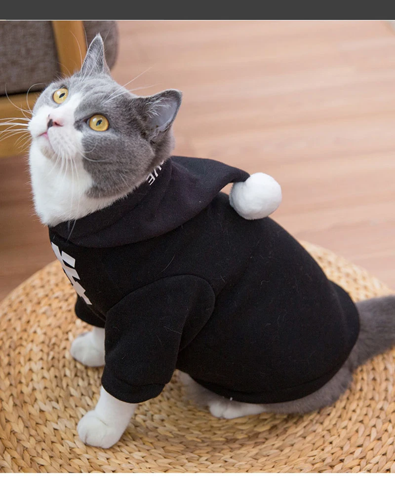 Модный осенний хлопковый маленький свитер для собаки для кошки с кепкой в стиле панк-рок, весенняя одежда для маленьких кошек