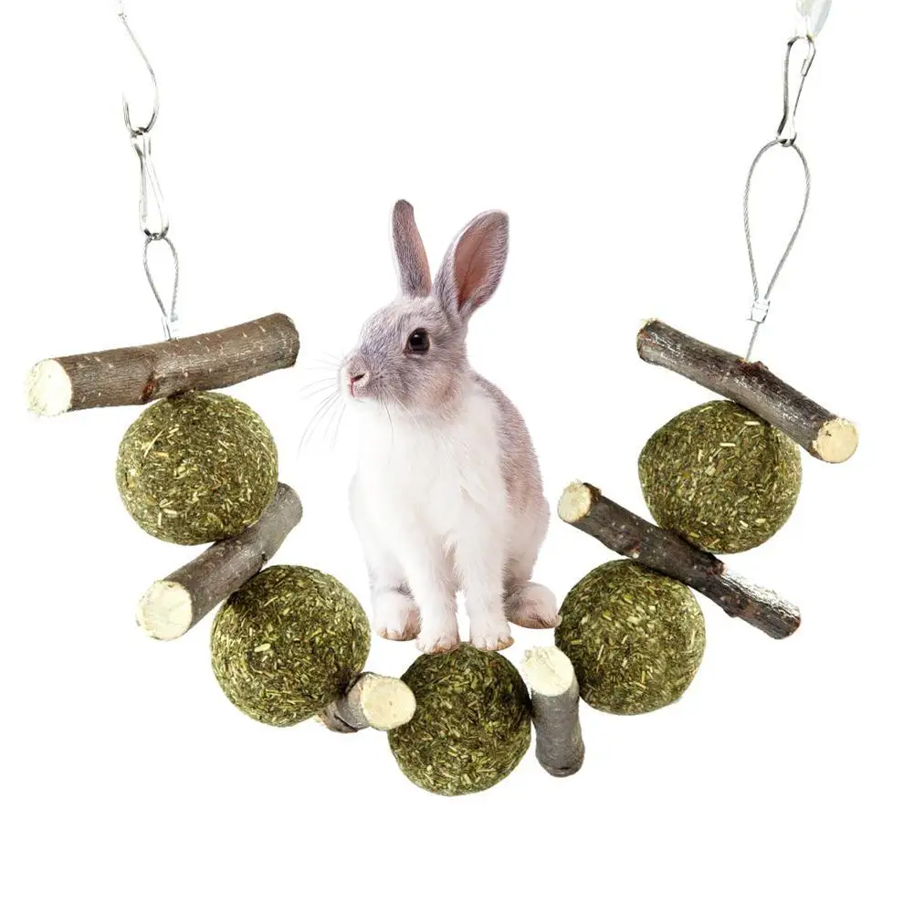 lapin Guinea Pig Bite Grind Teeth Toys Small font b Pets b font Rabbit Hamster Chinchilla