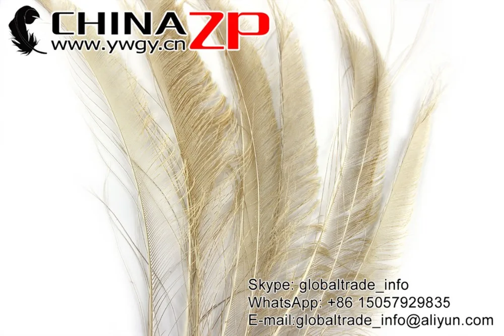 Ivory Peacock Sward Cut Feathers (3)