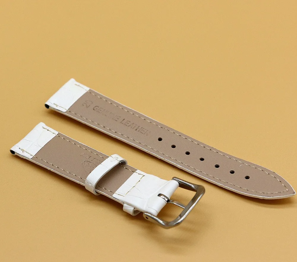 3052809361_1489434119