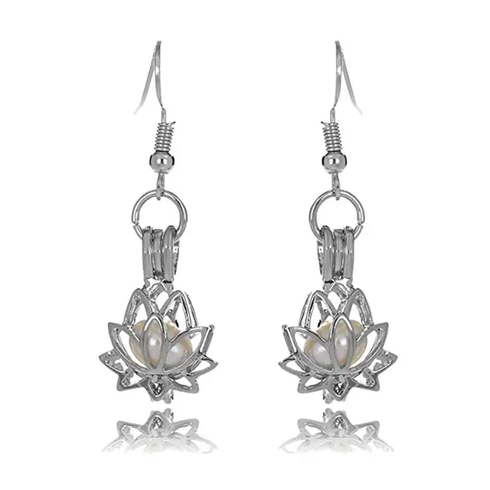 HENGSHENG Lotus Pearl серьги в виде клетки для выбора груши устрицы принадлежности
