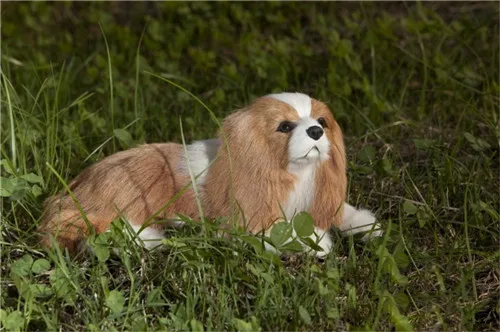Fancytrader Simulated Stuffed Plush King Charles Spaniel Dog Toy for Children Realistic Quality Animals Dog Doll 20cm 7inch (5)