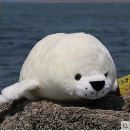 

2020 new arrival whit lovly soft plush seal toy for children birthday gift