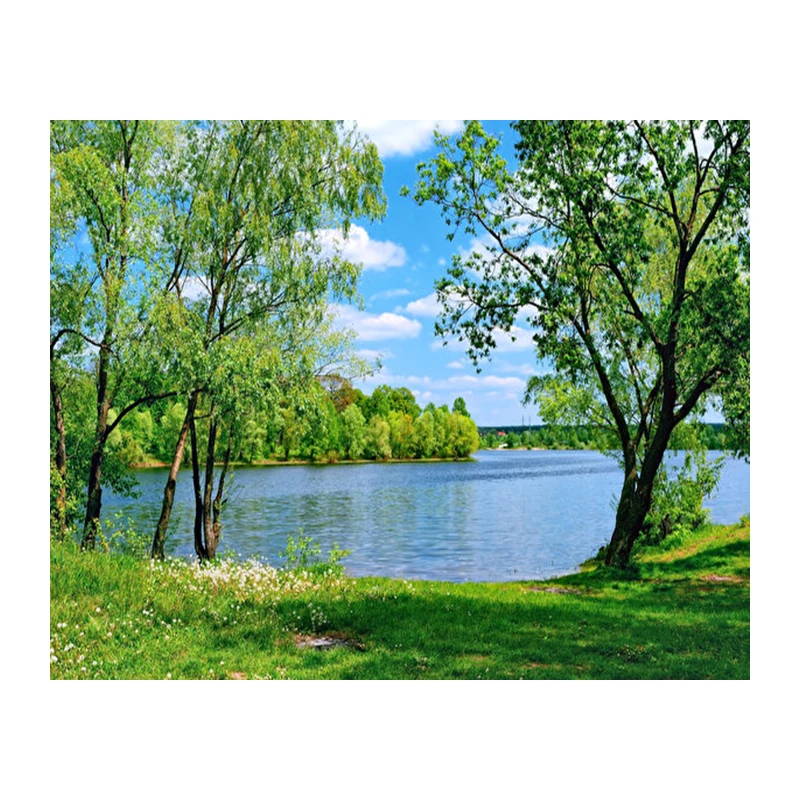 Landscape nature 