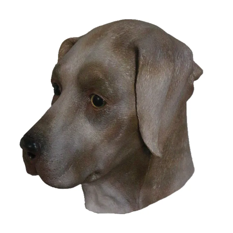 HY-AM050 brown labradog god