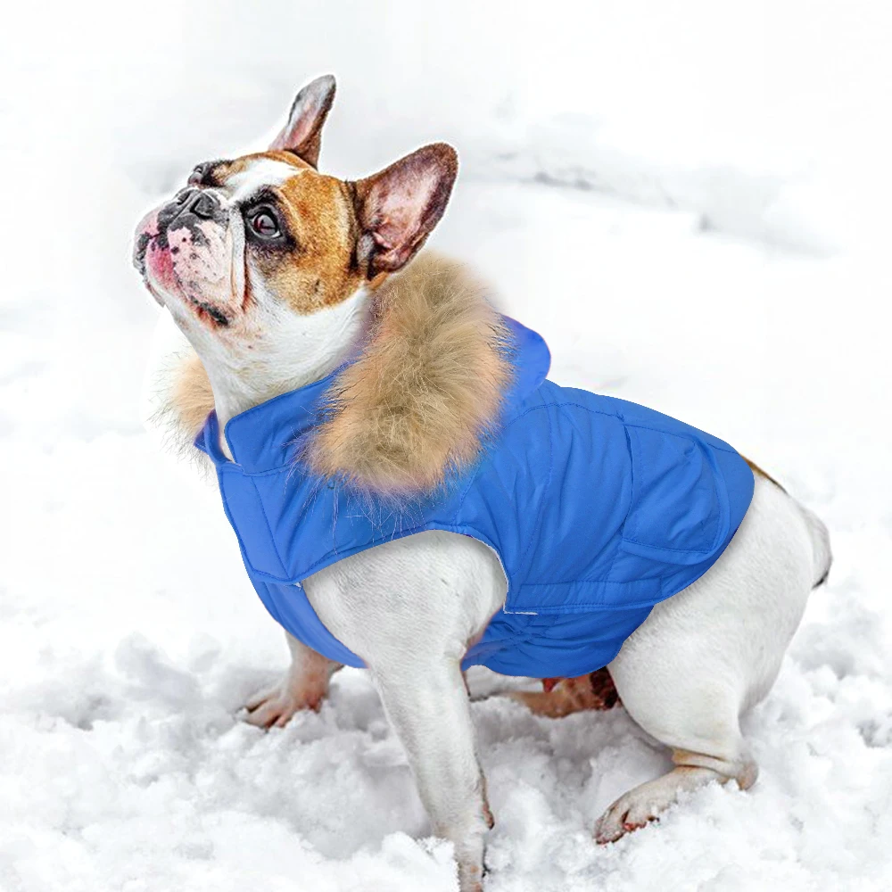2018 Pet Dog Clothes Warm Winter Dog Coat Jacket For Small