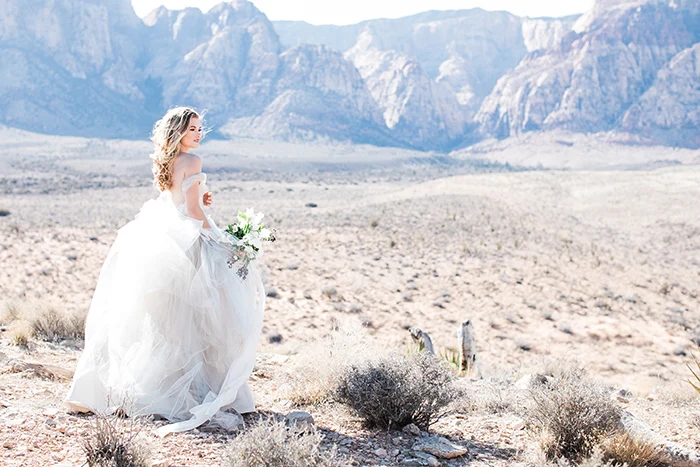 24-vintage-bridal-glam-red-rocks-canyon(pp_w480_h320)