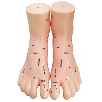 

Soft PVC 19cm Foot Reflex Zone Massage Model Foot Massage Acupuncture Model Acupuncture Chinese Medicine Specific Model 1 Pair