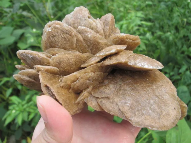 

Natural desert rose quartz crystal carved skulls healing, valentine's day gift.