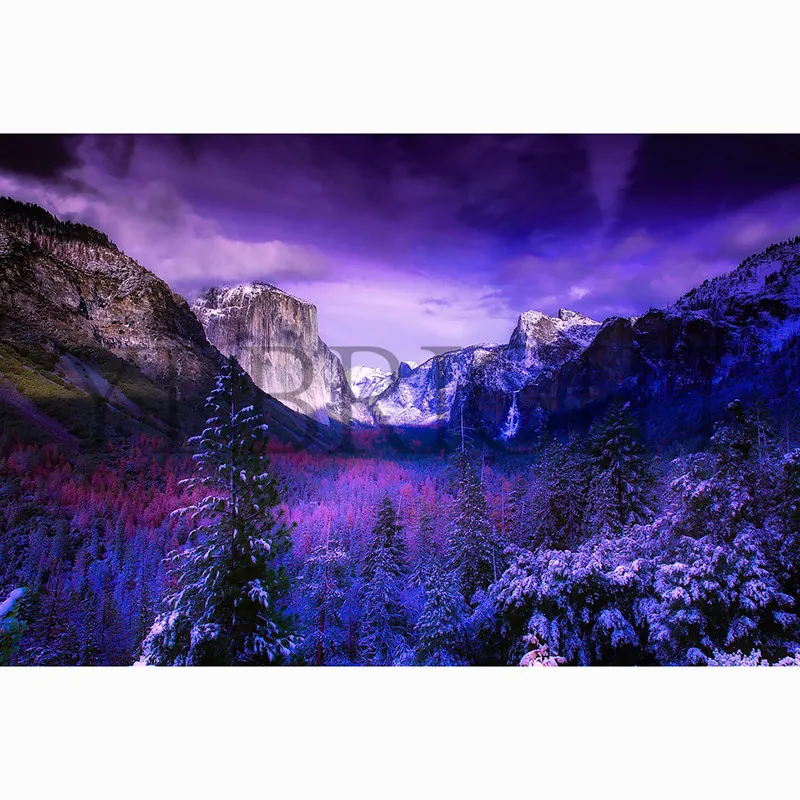 Yosemite National Park 