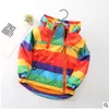 Colorful