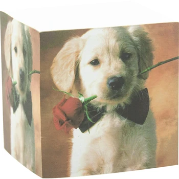 

4A Sticky Memo Cube,2.87'' x 2.87'',Wearing Collar Dog Patterned Printed On The Four Sides,Kawaii Cute Stationery,4A SMC 438
