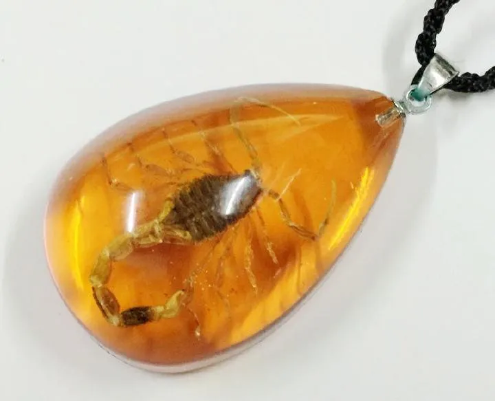 ymdm050