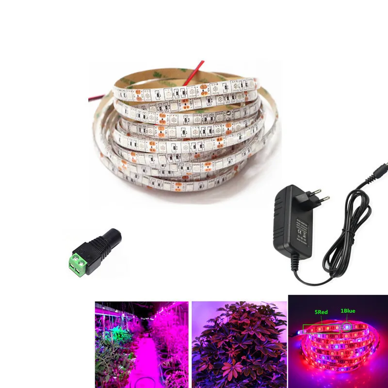 

Plant Grow lights Full Spectrum LED Strip Flower phyto lamp 5m Waterproof Red blue 5:1 for Greenhouse Hydroponic+Power adapter