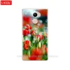 Phone Bags & Cases