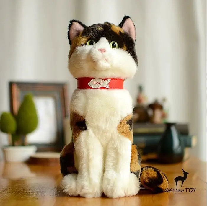 tortoiseshell cat toy