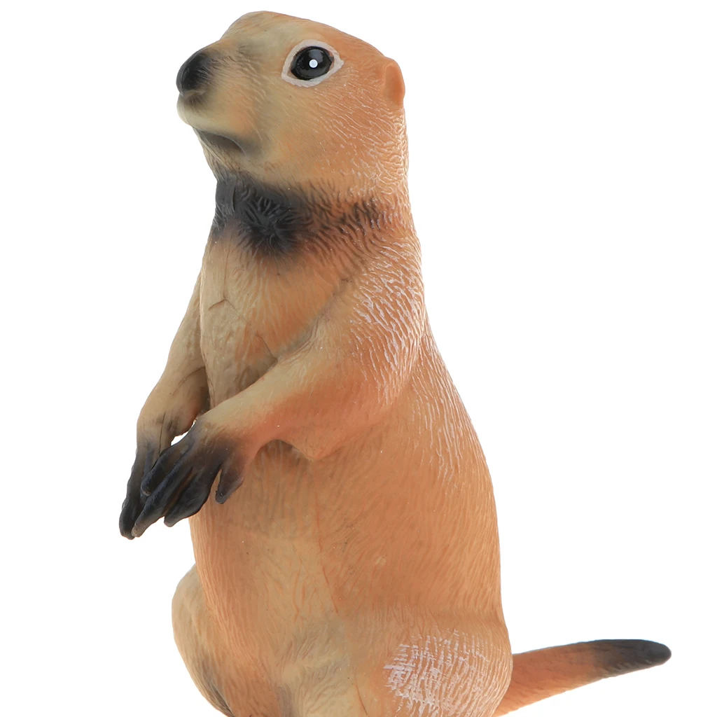 2pcs Simulation Wildlife Animal Model Figurine Kids Science & Nature Toy Collection Home Decoration Party Favors- Marmot