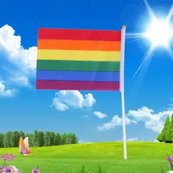 Продвижение Sale14 x 21 см Гей Радуга флаг полиэстер для лесбиянок геев бисексуалов транссексуалов новое поступление