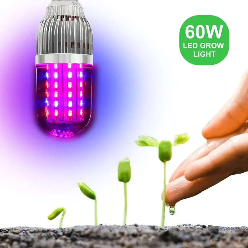 

Led Grow Lights Bulb 60W E27 40Red&20Blue led Corn Lamp Full Spectrum For Indoor Plants Garden Greenhouse Hydroponics