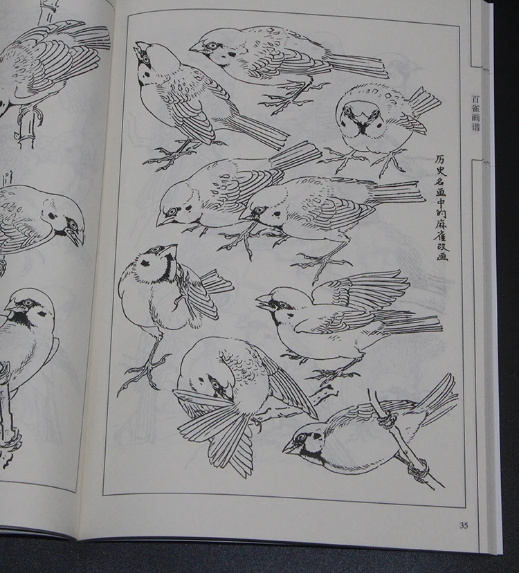 94pages China 100 Crane Bird Xianmiao Baimiao Line Drawing Painting Art Book 94pages China 100 Crane Bird Xianmiao Baimiao Line Drawing Painting Art Book