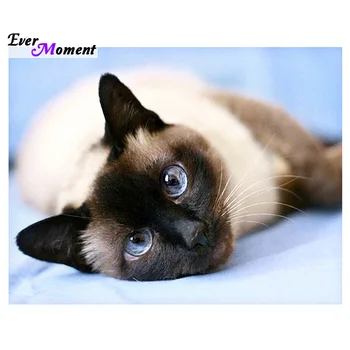 

Sleeping cat 30x40 DIY Diamond Painting Square Rhinestone Living Decorative Painting Diamond Embroidery Mosaic Needlework ASF026
