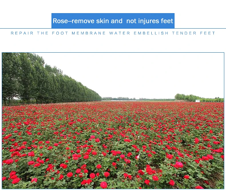 _07