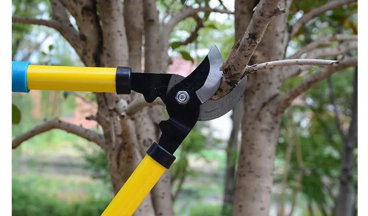 High Carbon Steel Garden Pruning Shears Slippery Handle Gardening Scissors Cut Thick Branches Garden Tools Bonsai Supplies