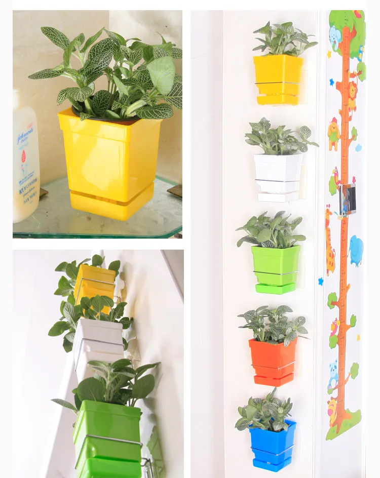 TB24Y_xaFXXXXaRXpXXXXXXXXXX_!!22534378