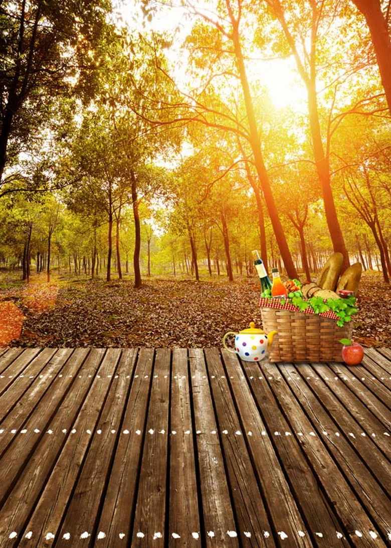 Autumn picnic backgrounds for outdoor shooting photography backdrops