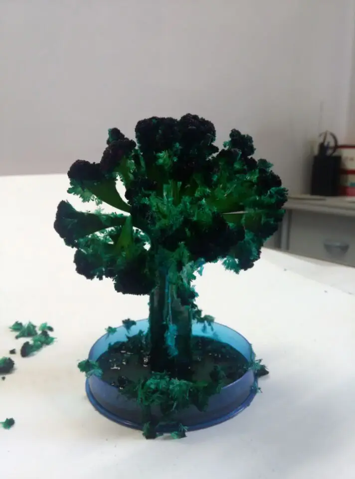 

2019 14x11cm Japan Green Big Magic Grow Paper Japanese Sakura Tree Magically Growing Trees Kit Desktop Cherry Blossom Kids Toys