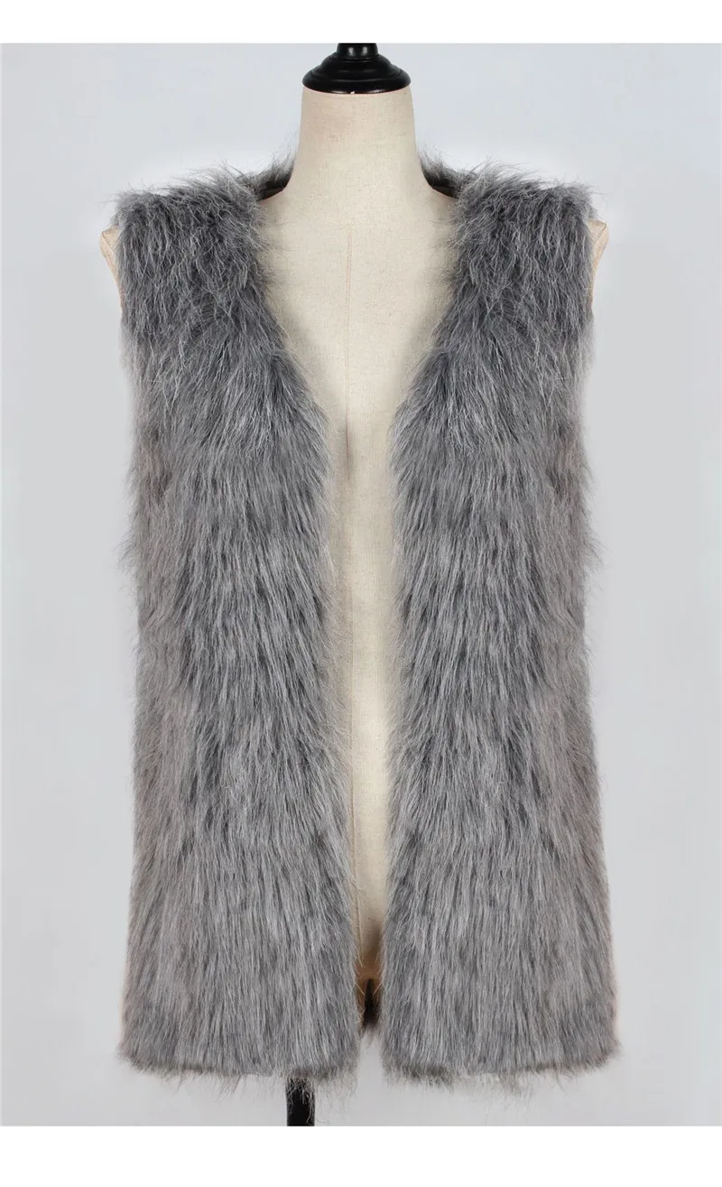 Women's autumn and winter new imitation fur sleeveless shirt vest European and American fashion fashion explosion models women's vest wild (4)