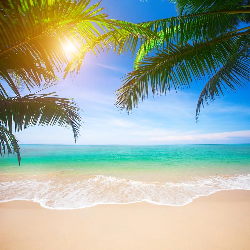 Tropical-Beach-Photography-Backdrop-Green-Palm-Tree-Leaves-Bokeh ...