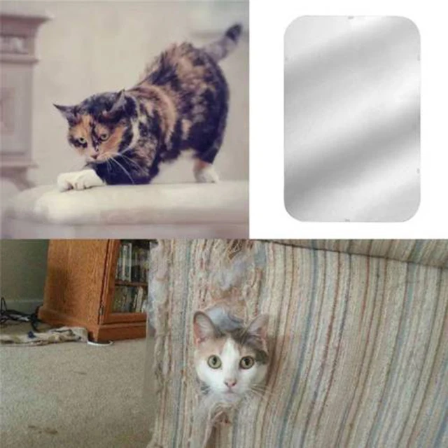 Us 3 17 34 Off Newest 2pcs Set Pet Cat Large Scratch Guard Mat Sofa Furniture Protector Pad Scratching Post Toy In