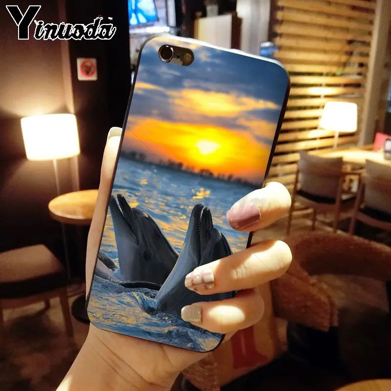 Dance Of Dolphin