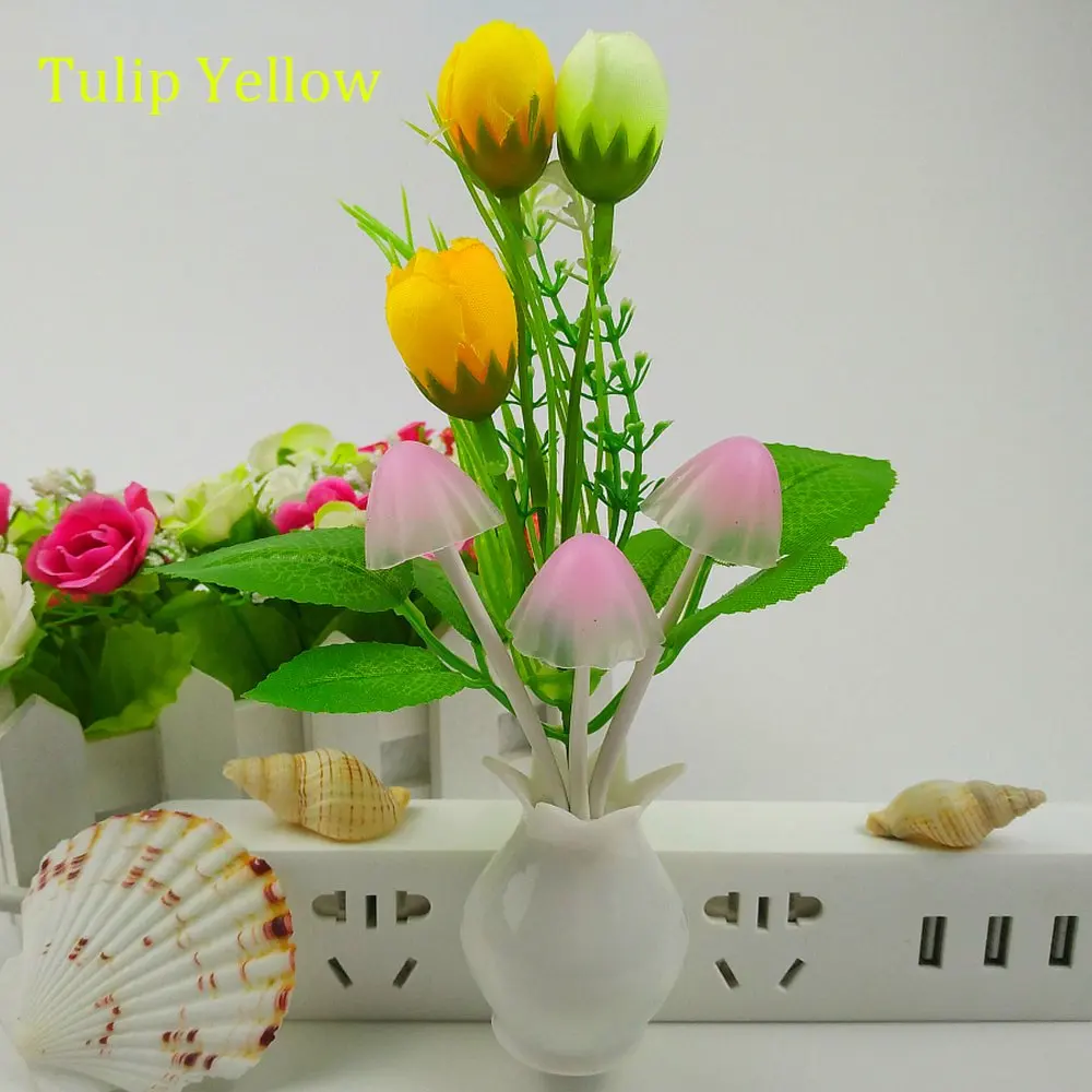 71AouE7H7IL._SL1000_