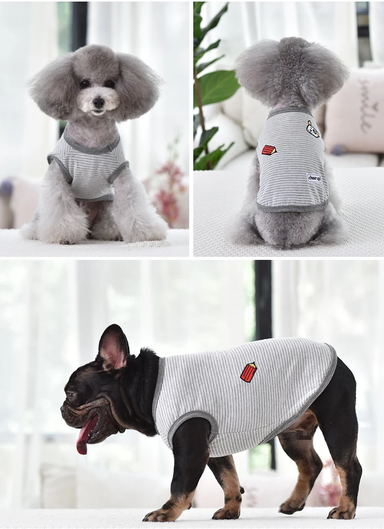 dog contume8