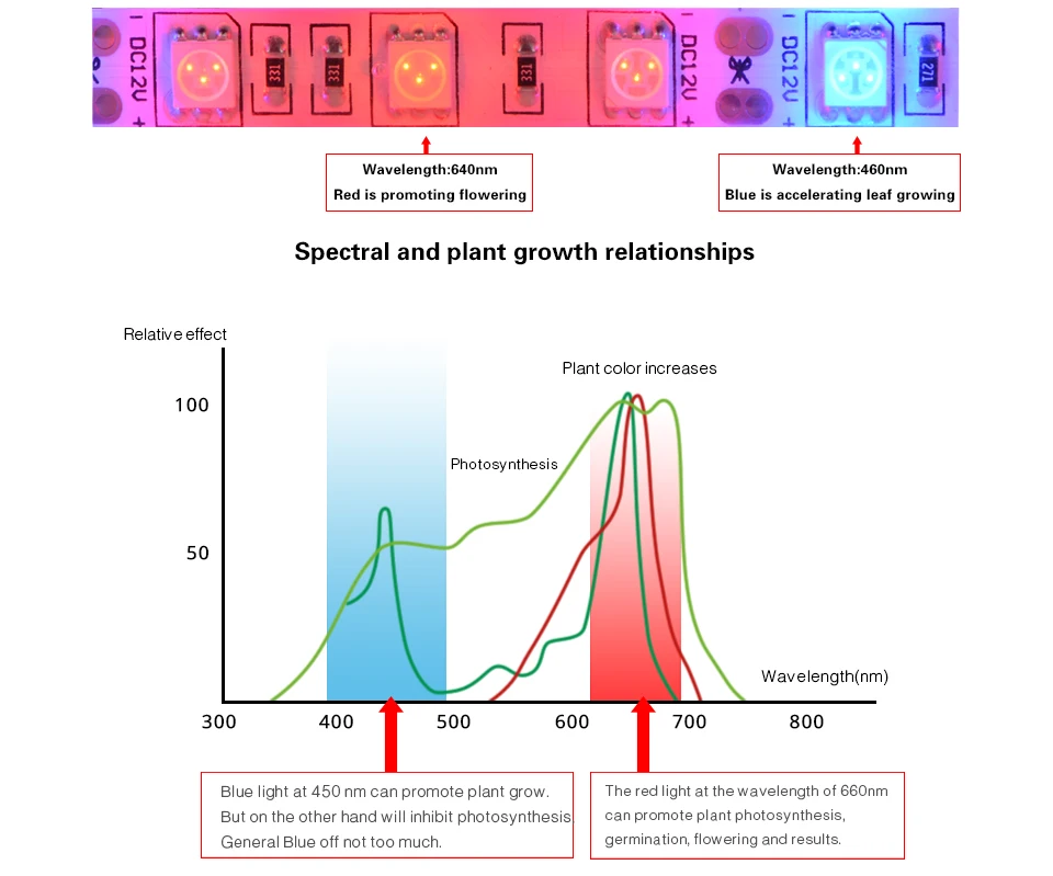 DC 12 В полный спектр светодиодный светать 5 Вт/м красный 660nm синий 450nm 5050 SMD 5 м 300 светодиодный s гидропоники цветок Фито роста