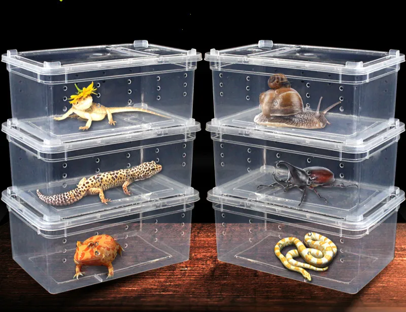 1 шт., коробка для разведения рептилий, для альпинизма, коробка для домашних животных, паучий рог, лягушка, дворцовая коробка, ящерица, животное, змея, улитка, насекомое, черепаха, танк, коробка