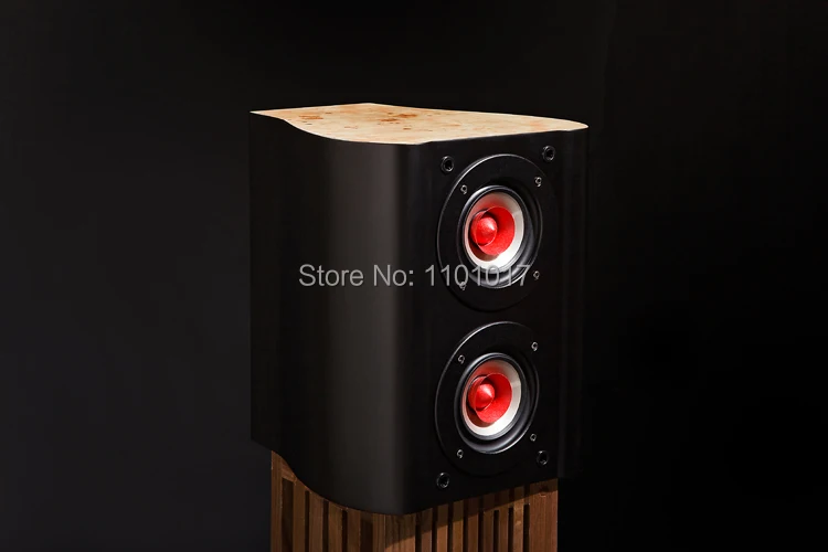 TUOLIHAO Q5 двойной полный спектр 4 ''драйвер спикер HIFI EXQUIS лучший вокальный монитор книжная полка драйвер спичка ламповый усилитель THQ5