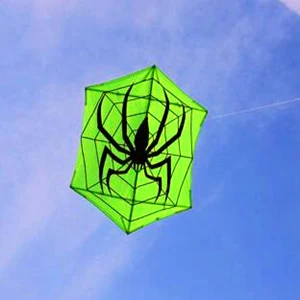 Free shipping high quality large kite Hexagonal kite spider kite fabric nylon ripstop with kite reel line flying outdoor toys 30m beach kite flying single line octopus kite tube shaped soft kite 3d ripstop nylon fabric