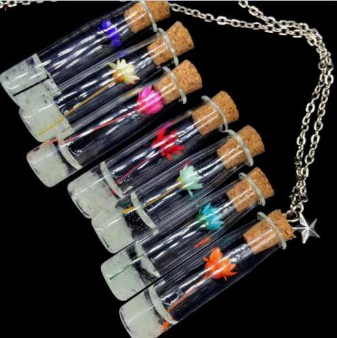 

1sets 70cm Magic Glow In The Dark Vintage Luminous Dried flowers Pendant Necklace Fluorescent Light Wish Bottle Chain Necklace