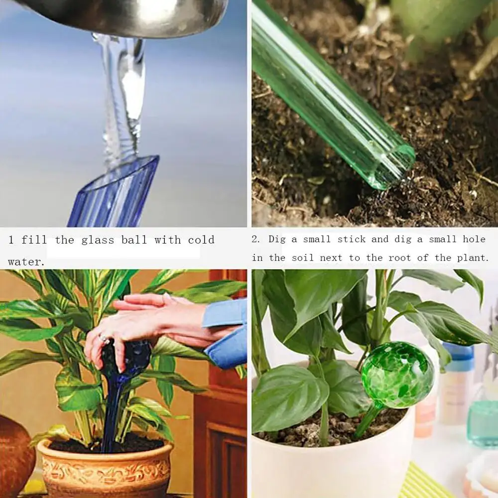 

Automatic Watering Bulbs Multifunctional to Use Automatically Water The Plants Indoors Or out Your Garden 6 Pieces