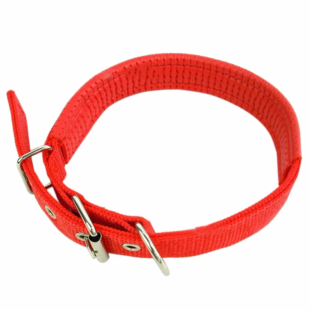 

Nylon Soft Liner Padded Dog Pet Collars Neck Protection Safe Collar For Small Medium Large Dogs 4 color 5 size dog collar